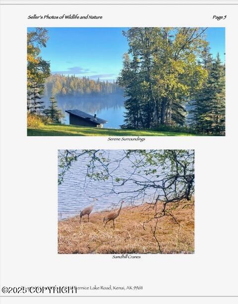 48416 Bernice Lake Rd, Nikiski/North Kenai, AK 99611 - view of miscellaneous property collateral