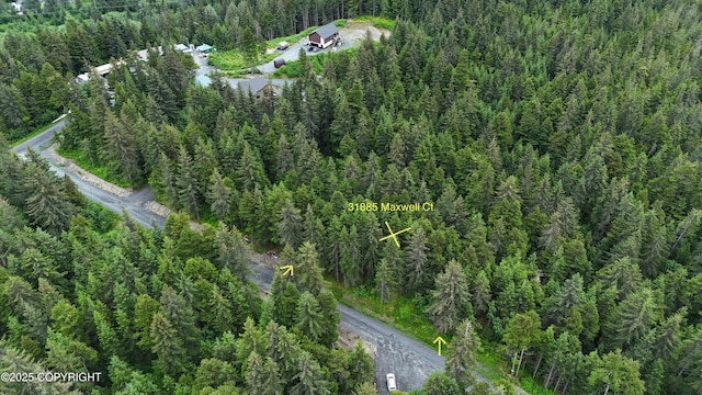 31885 Maxwell Ct, Seward, AK 99664 - photo 3