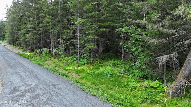 31885 Maxwell Ct, Seward, AK 99664 - photo 2
