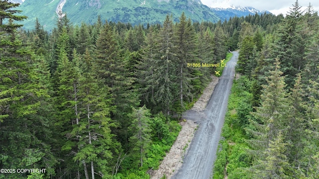 31885 Maxwell Ct, Seward, AK 99664 - photo 5