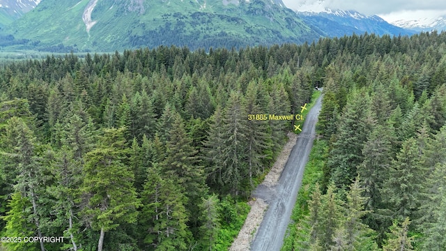 31885 Maxwell Ct, Seward, AK 99664 - photo 8