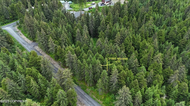 31885 Maxwell Ct, Seward, AK 99664 - photo 9