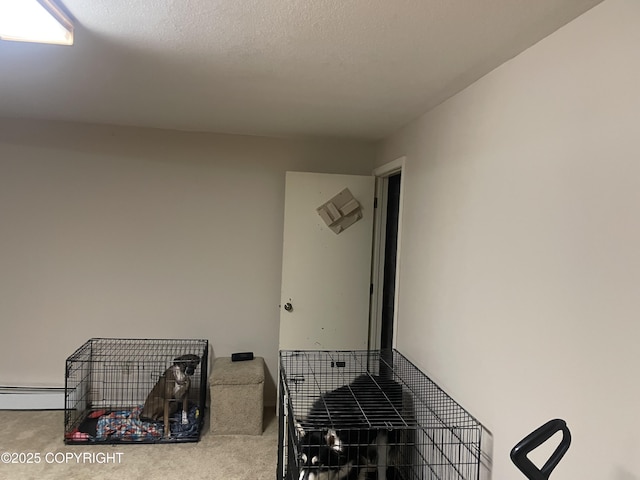 514 Ash Ave, Kenai, AK 99611 - photo 40