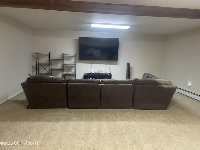 514 Ash Ave, Kenai, AK 99611 - photo 43