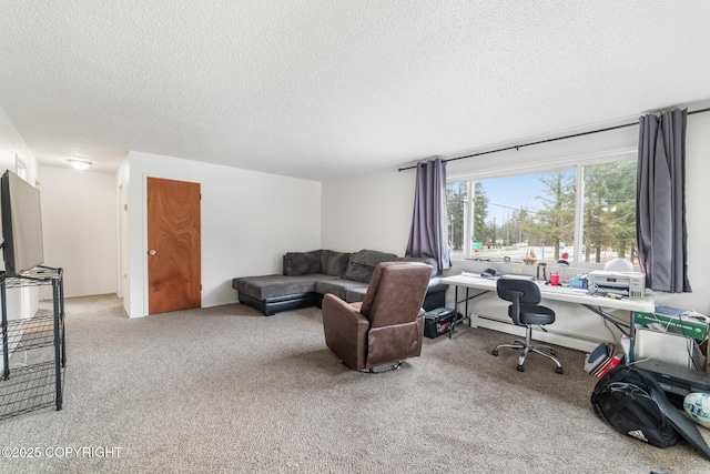 8764 Trinity Dr, Juneau, AK 99801 - living area with an office area, a textured ceiling, baseboard heating, and carpet floors