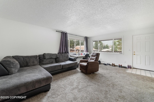 8764 Trinity Dr, Juneau, AK 99801 - carpeted living room with a textured ceiling