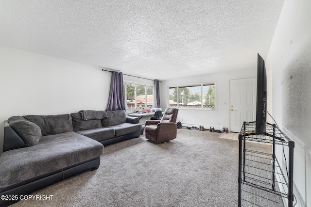 8764 Trinity Dr, Juneau, AK 99801 - carpeted living room with a textured ceiling