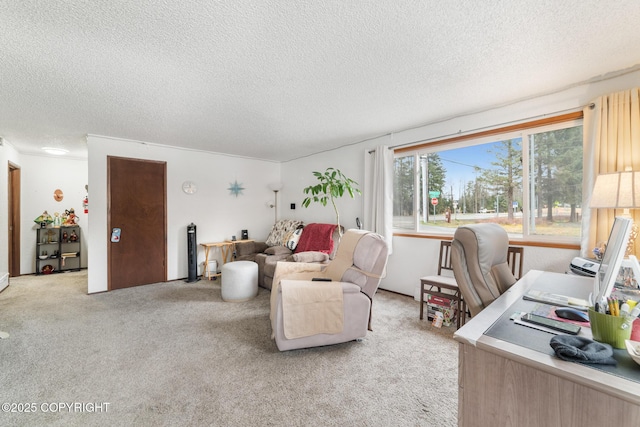 8764 Trinity Dr, Juneau, AK 99801 - home office with a textured ceiling and light colored carpet