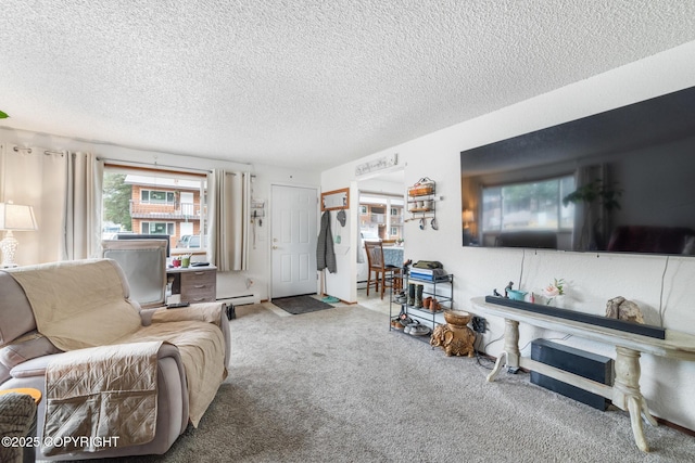 8764 Trinity Dr, Juneau, AK 99801 - living room featuring a textured ceiling, carpet floors, and baseboard heating