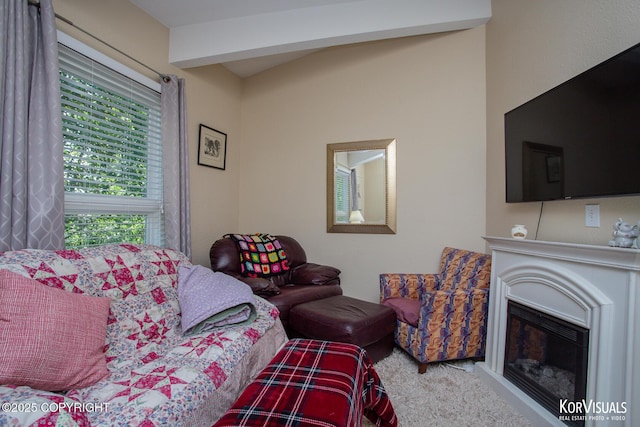 4450 Trapline Dr, Anchorage, AK 99516 - carpeted living area with a glass covered fireplace