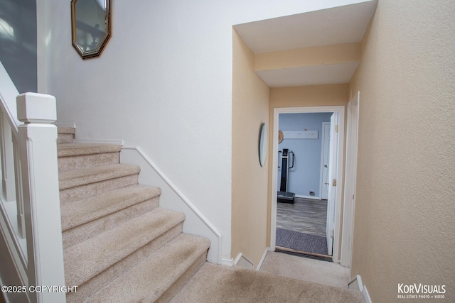 4450 Trapline Dr, Anchorage, AK 99516 - staircase featuring carpet and baseboards