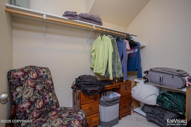 4450 Trapline Dr, Anchorage, AK 99516 - walk in closet with carpet