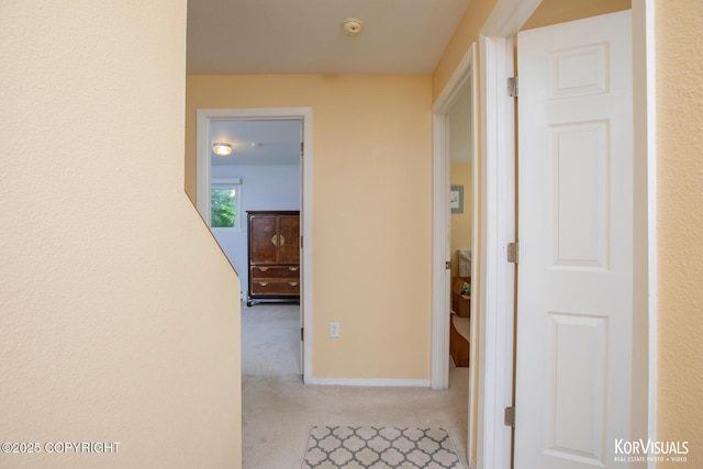 4450 Trapline Dr, Anchorage, AK 99516 - hall featuring carpet flooring and baseboards