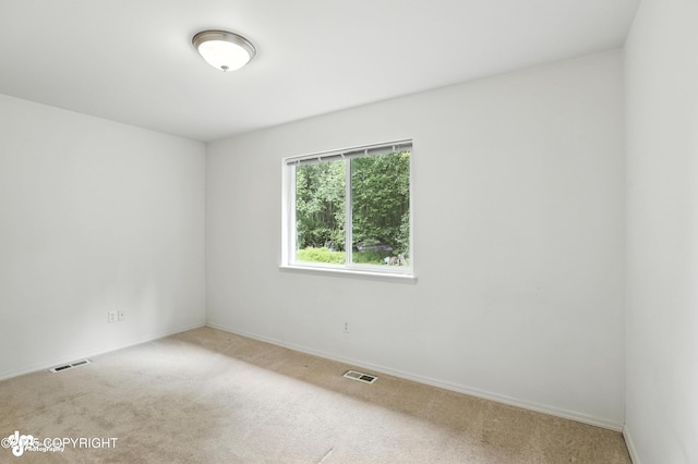 21331 Original Ave, Chugiak, AK 99567 - photo 26