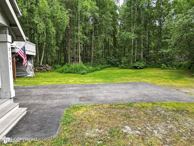 21331 Original Ave, Chugiak, AK 99567 - photo 9