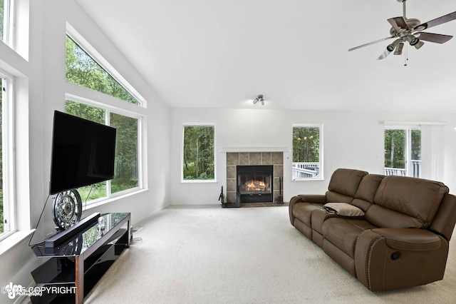 21331 Original Ave, Chugiak, AK 99567 - photo 13