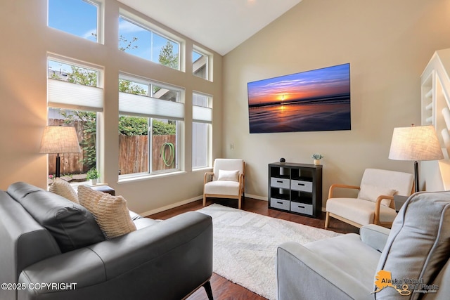 12231 Johns Rd # 2, Anchorage, AK 99515 - living room featuring plenty of natural light, dark wood-style flooring, and high vaulted ceiling
