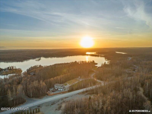 3872 N Charley Dr, Wasilla, AK 99654 - aerial view of a large body of water