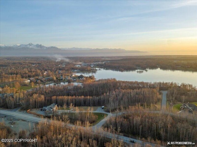 3872 N Charley Dr, Wasilla, AK 99654 - aerial view of property's location featuring a water and mountain view and a forest