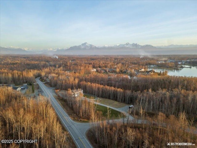 3872 N Charley Dr, Wasilla, AK 99654 - view of property location with a forest and a water and mountain view