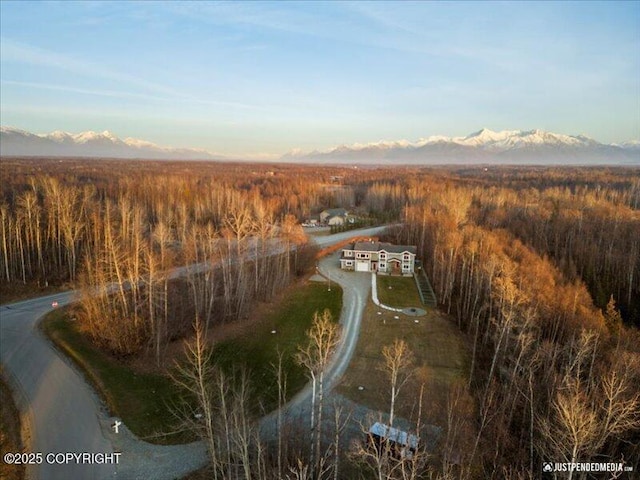 3872 N Charley Dr, Wasilla, AK 99654 - aerial view of property and surrounding area featuring mountains