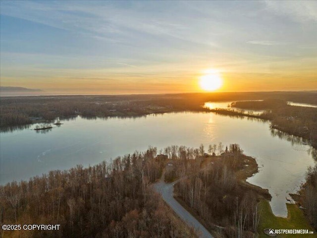 3872 N Charley Dr, Wasilla, AK 99654 - water view featuring a forest