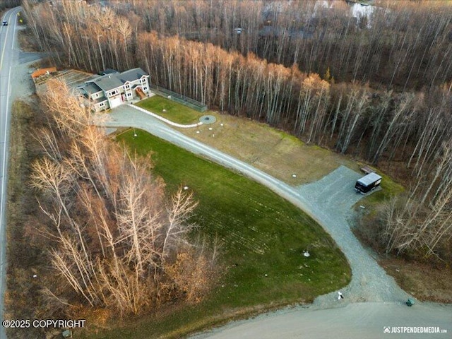 3872 N Charley Dr, Wasilla, AK 99654 - aerial overview of property's location