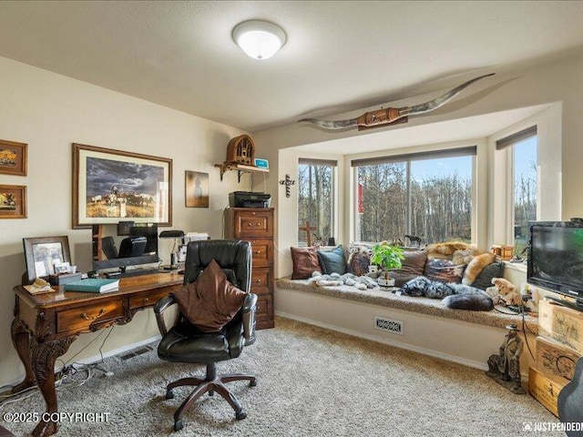 3872 N Charley Dr, Wasilla, AK 99654 - office featuring carpet floors