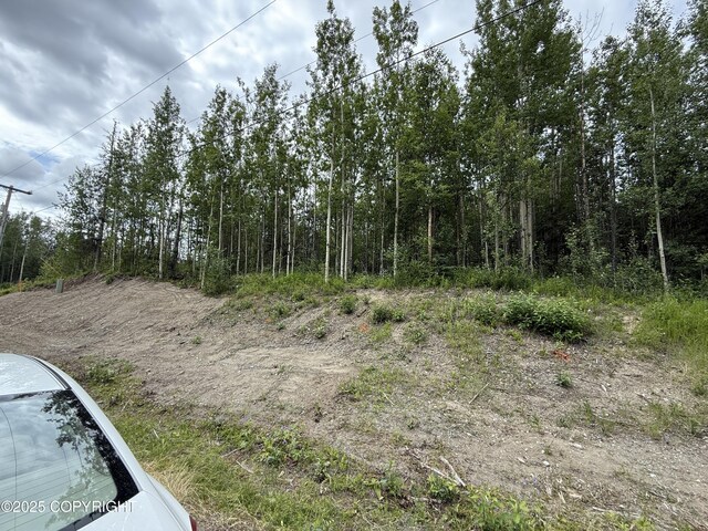 1060 N Hickory St, Wasilla, AK 99645