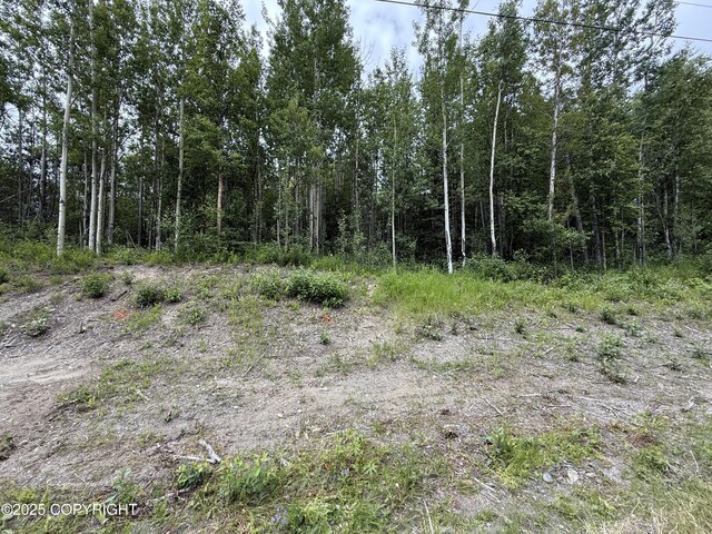 1060 N Hickory St, Wasilla, AK 99645