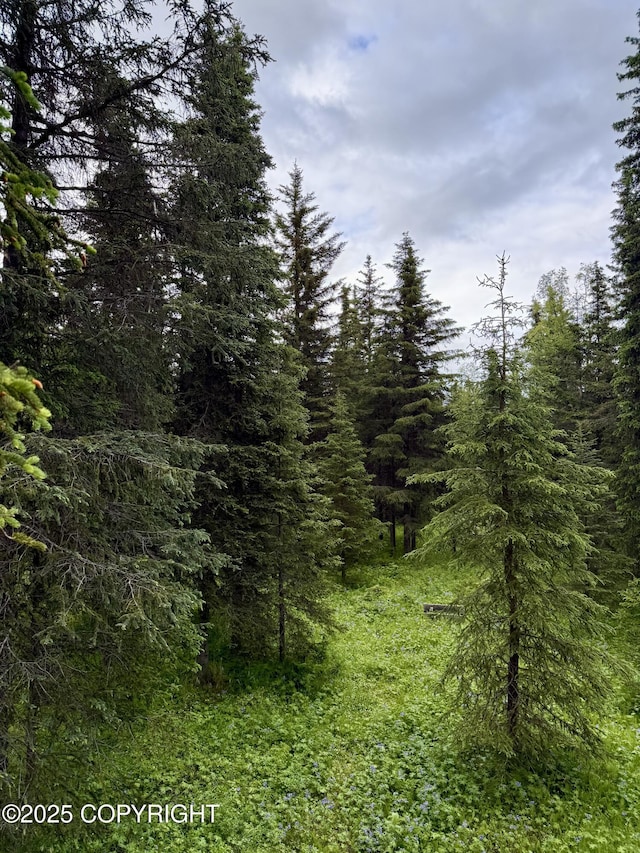 15700 Wild Salmon Way, Ninilchik, AK 99639 - view of woods