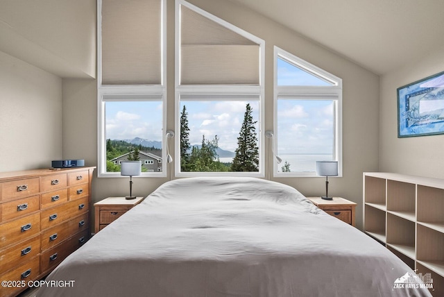 18041 Spain Dr, Anchorage, AK 99516 - photo 38