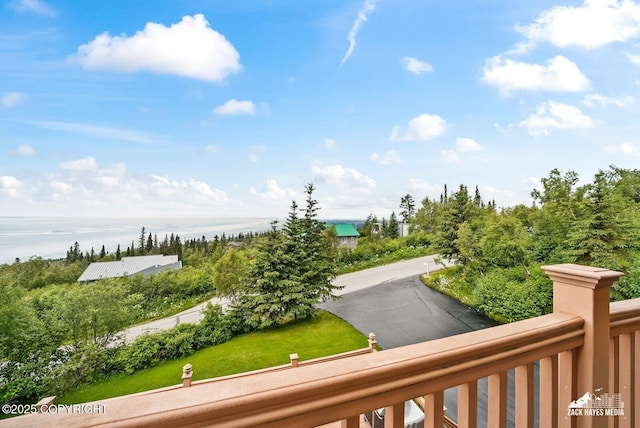 18041 Spain Dr, Anchorage, AK 99516 - photo 8