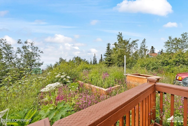 18041 Spain Dr, Anchorage, AK 99516 - photo 65