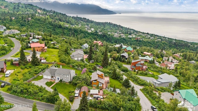 18041 Spain Dr, Anchorage, AK 99516 - photo 72