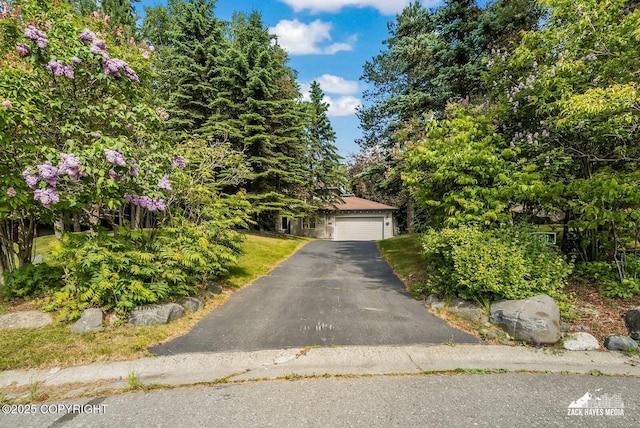 250 Botanical Cir, Anchorage, AK 99515 - view of property hidden behind natural elements with a detached garage