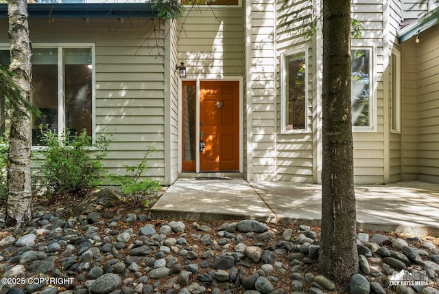 250 Botanical Cir, Anchorage, AK 99515 - doorway to property