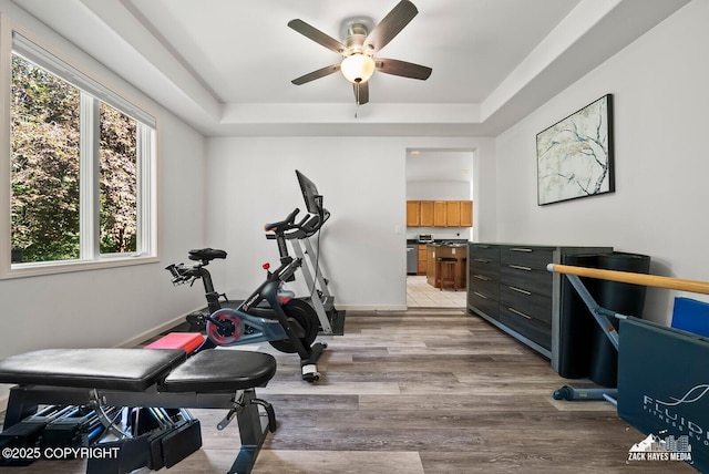 250 Botanical Cir, Anchorage, AK 99515 - exercise area featuring a tray ceiling, a ceiling fan, and light wood-type flooring