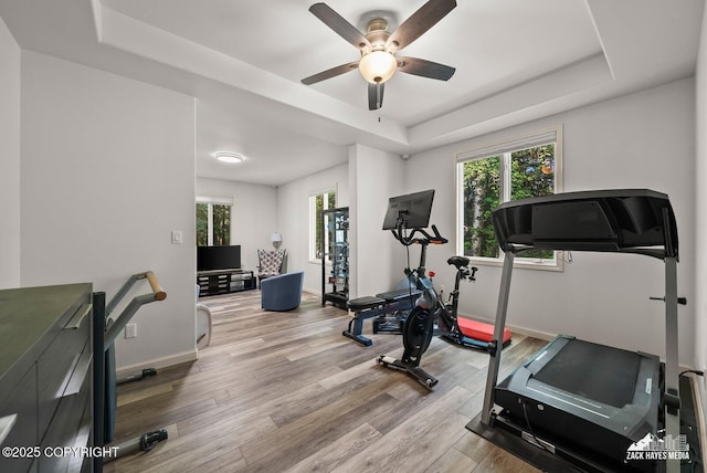 250 Botanical Cir, Anchorage, AK 99515 - exercise room featuring a raised ceiling, ceiling fan, plenty of natural light, and light wood-style flooring