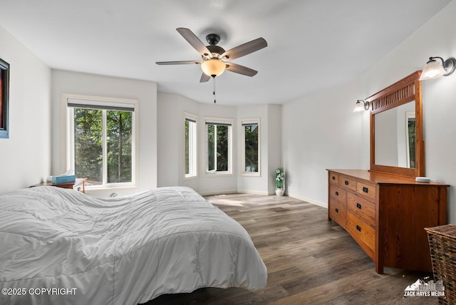 250 Botanical Cir, Anchorage, AK 99515 - bedroom with wood finished floors and a ceiling fan