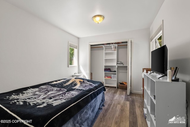 250 Botanical Cir, Anchorage, AK 99515 - bedroom with multiple windows, wood finished floors, and a closet