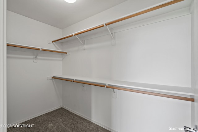 221 Whisper Ridge Cir # A, Anchorage, AK 99504 - walk in closet featuring dark colored carpet