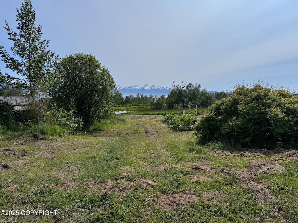 L4 Sibson Dr, Homer, AK 99603