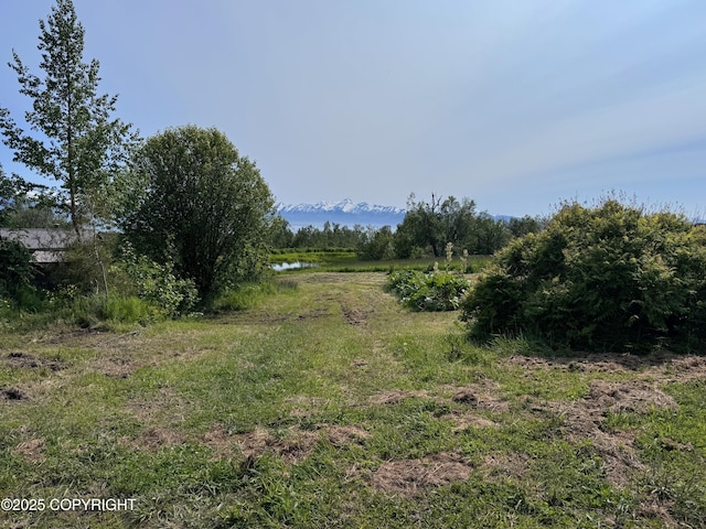 L4 Sibson Dr, Homer, AK 99603