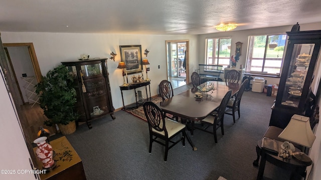 3411 Eagle Ave, Valdez, AK 99686 - dining area featuring carpet and a textured ceiling