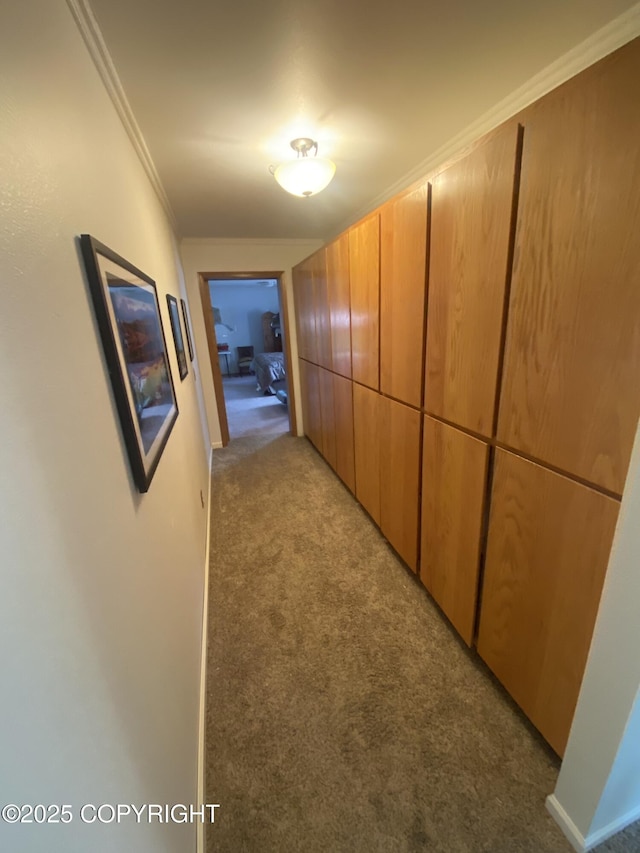 3411 Eagle Ave, Valdez, AK 99686 - corridor featuring carpet and ornamental molding