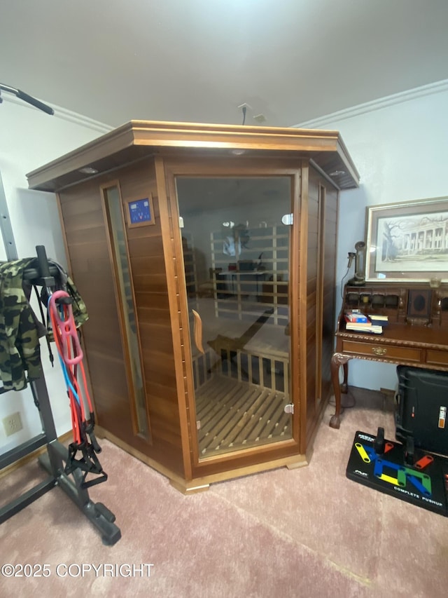3411 Eagle Ave, Valdez, AK 99686 - sauna featuring carpet flooring