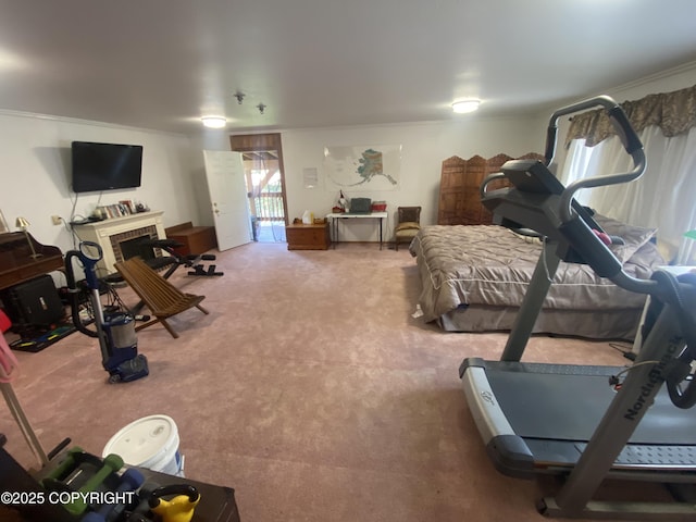 3411 Eagle Ave, Valdez, AK 99686 - exercise area featuring carpet floors, a brick fireplace, and ornamental molding