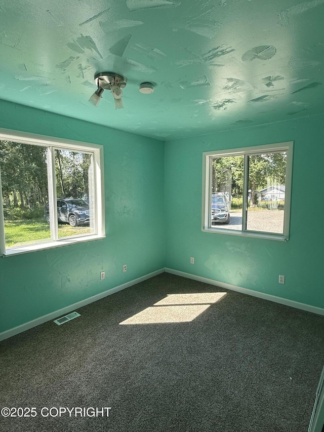 4100 W Peterson Bay Ct, Wasilla, AK 99623 - empty room featuring plenty of natural light, carpet floors, a ceiling fan, and a textured ceiling