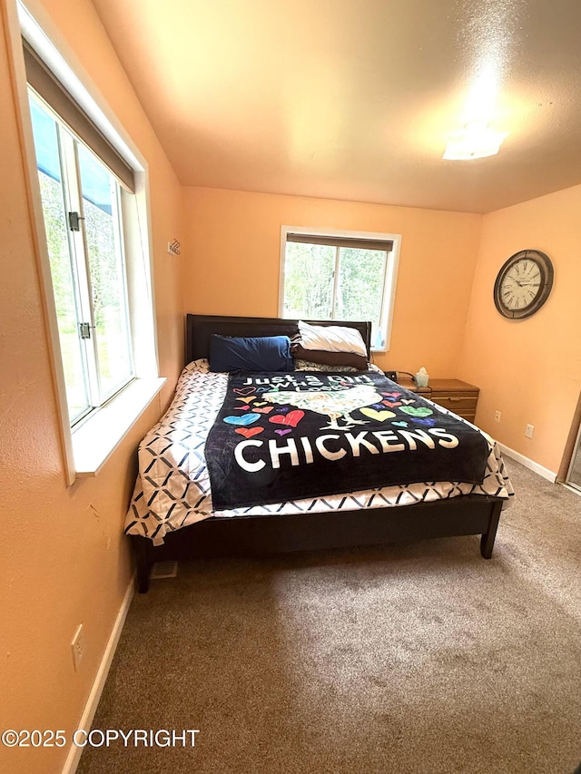 4100 W Peterson Bay Ct, Wasilla, AK 99623 - carpeted bedroom with baseboards